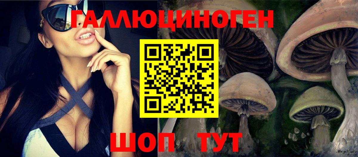 Псилоцибиновые грибы Psilocybine cubensis Отрадный